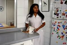 The Maid