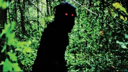 Uncle Boonmee Ghost Monkey